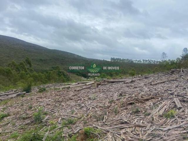 Rurais à venda em Bom Jardim de Minas