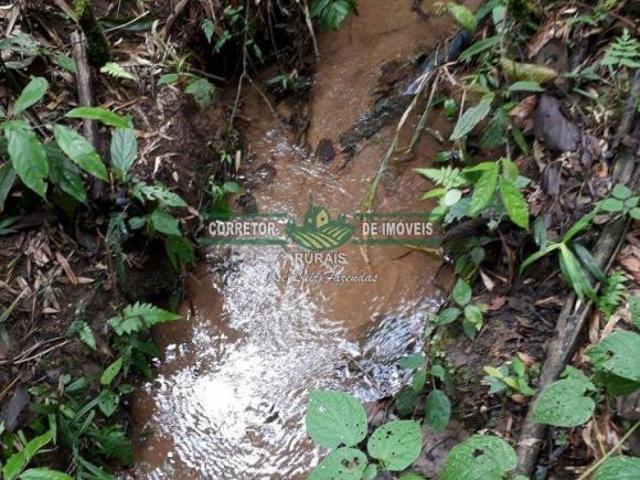 Rurais à venda em Bom Jardim de Minas