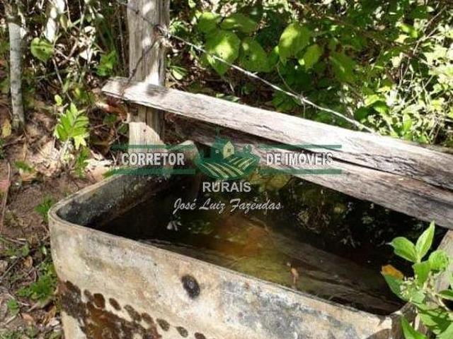 Rurais à venda em Bom Jardim de Minas