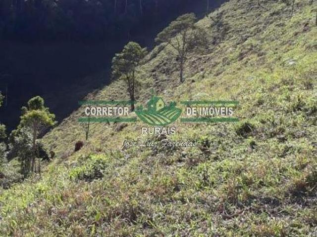 Rurais à venda em Bom Jardim de Minas