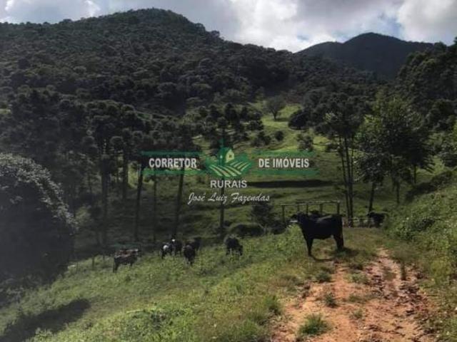 Rurais à venda em Bocaina de Minas
