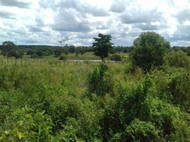 Rurais à venda em Brasília de Minas