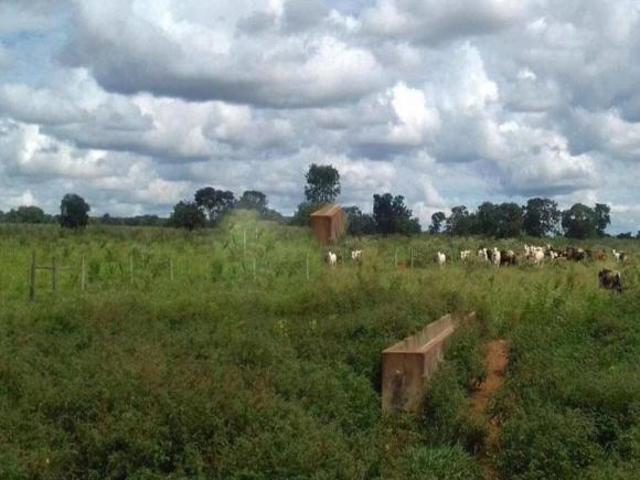 Rurais à venda em Brasília de Minas