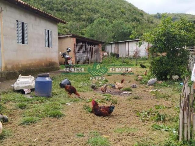 Rurais à venda em Carvalhos