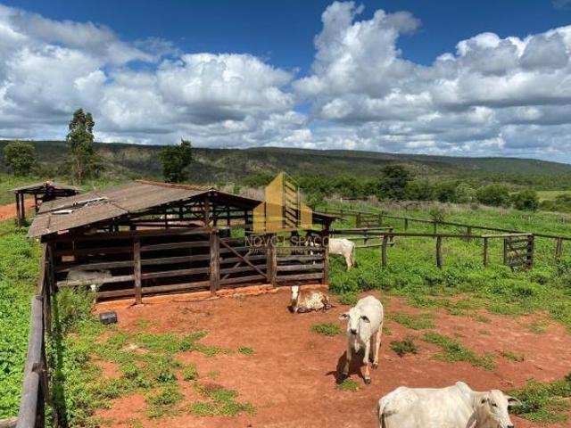Rurais à venda em Carbonita