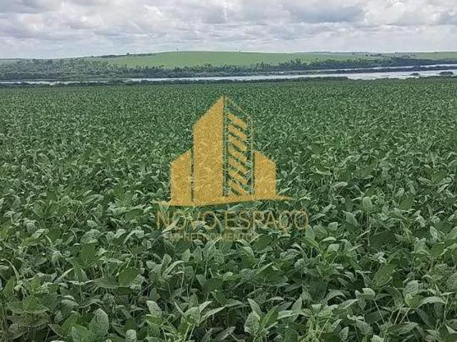 Rurais à venda em Conceição das Alagoas