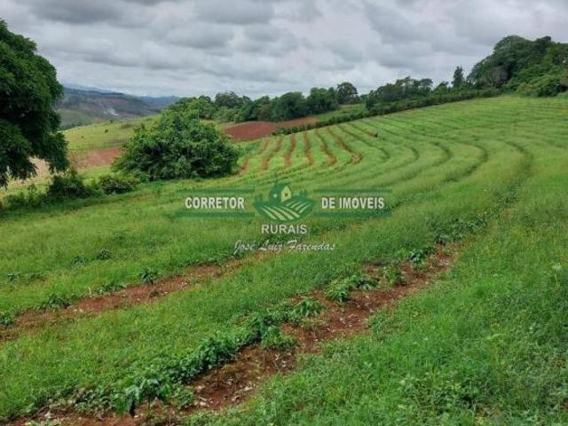 Rurais à venda em Conceição do Rio Verde