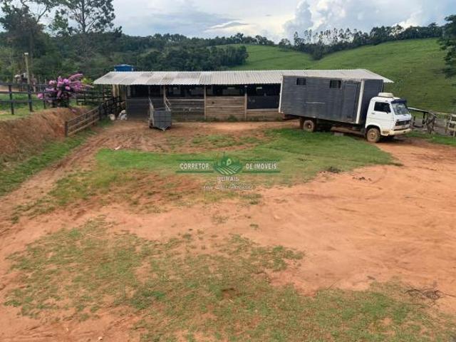 Rurais à venda em Cruzília