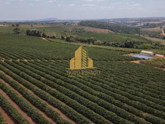 Rurais à venda em Elói Mendes