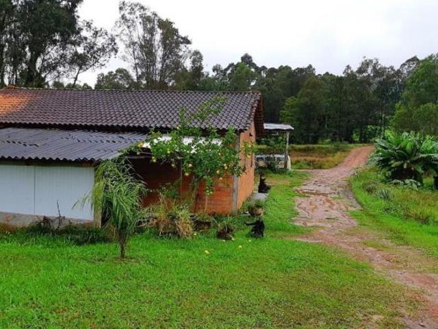 Rurais à venda em Faxinal do Soturno
