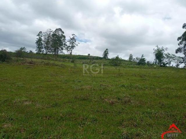 SITIO COM 12 HECTARES EM GUAIBA RS