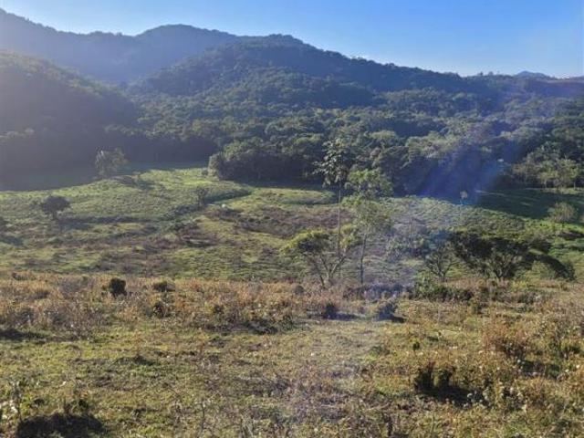 Rurais à venda em Itapitangui