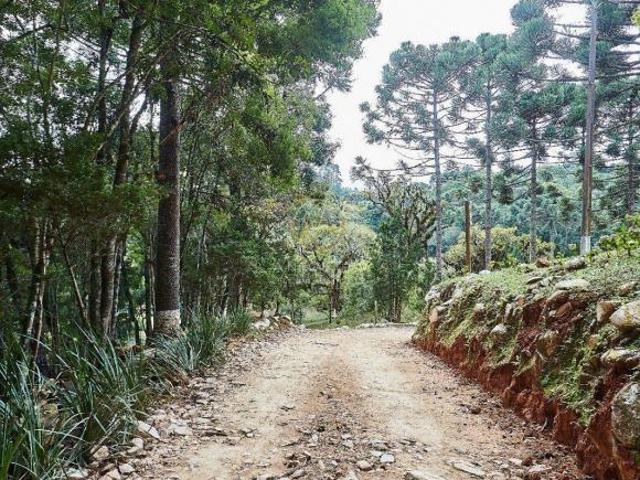 Rurais à venda em Mandirituba