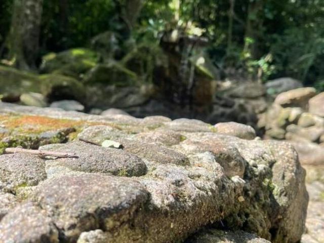 Rurais à venda em Maresias