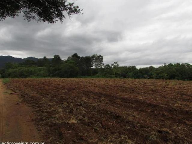 Rurais à venda em Nova Hartz