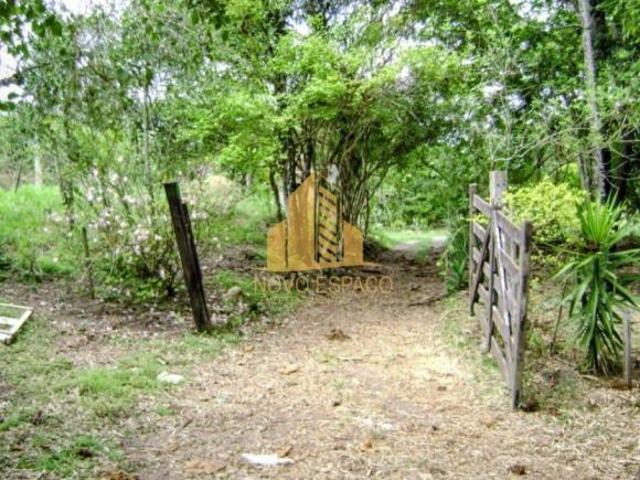 Rurais à venda em Pará de Minas