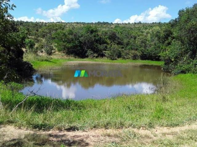 Imoveis em Paraopeba