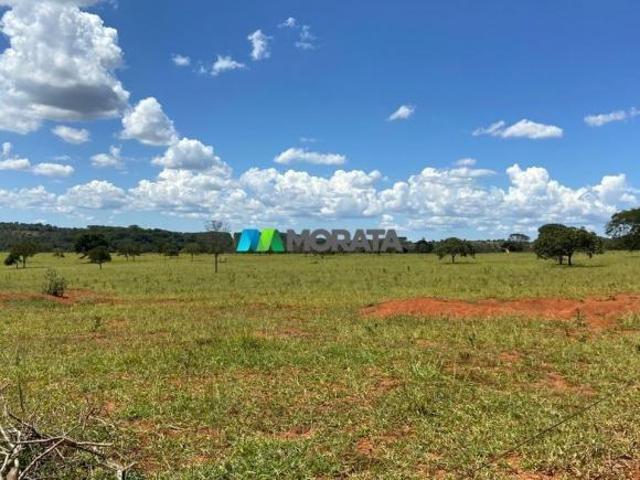 Imoveis em Paraopeba