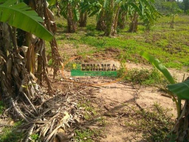 Rurais à venda em São Gonçalo do Abaeté