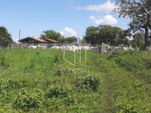 Rurais à venda em São Francisco