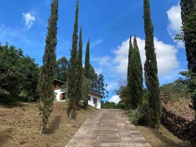 Rurais à venda em São José do Hortêncio
