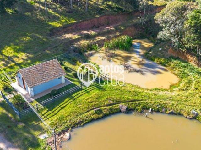Rurais à venda em São José dos Pinhais