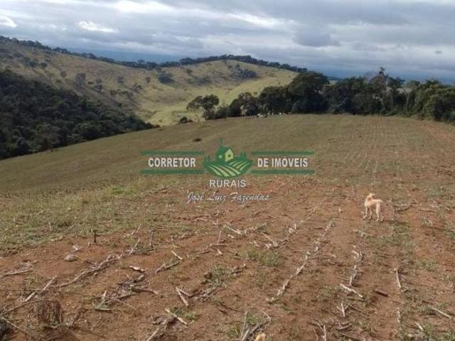 Rurais à venda em São Lourenço