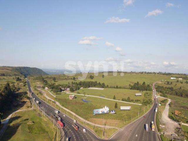 Rurais à venda em São Luiz do Purunã