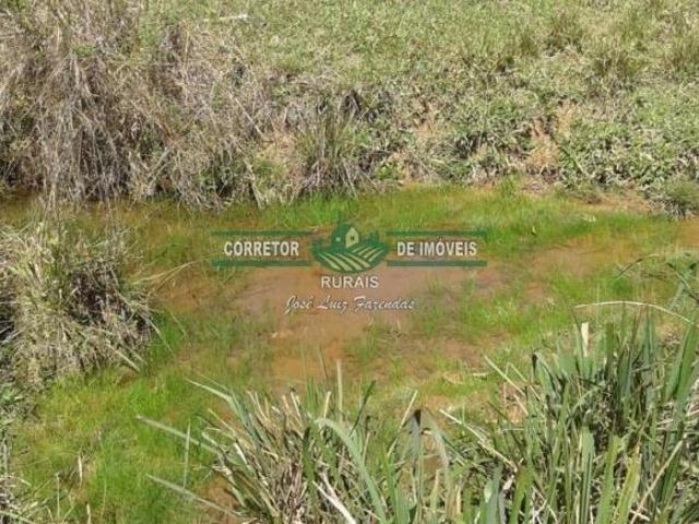 Rurais à venda em São Thomé das Letras
