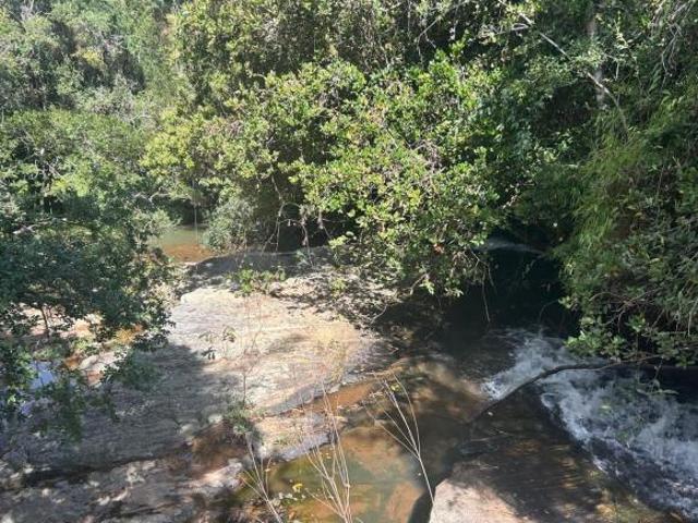 Rurais à venda em São Thomé das Letras