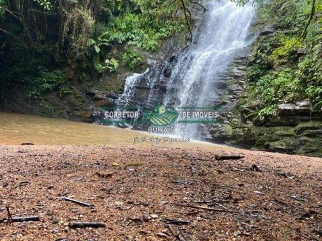 Rurais à venda em São Thomé das Letras