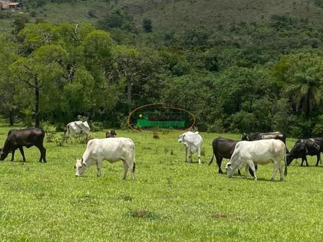 Rurais à venda em São Tiago