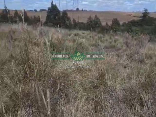Rurais à venda em São Vicente de Minas