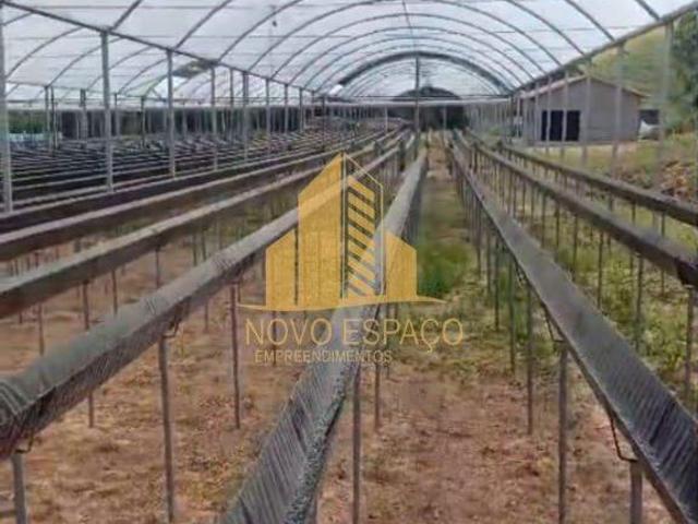 Rurais à venda em Santa Rita de Caldas