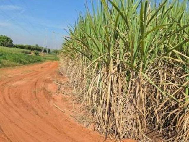Rurais à venda em Santa Rita do Passa Quatro