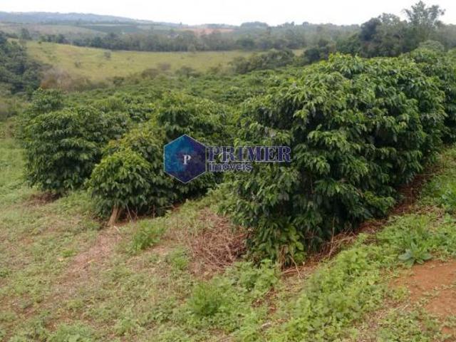 Rurais à venda em Santo Antônio do Amparo