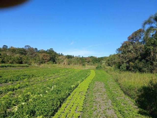 Rurais à venda em Salesópolis