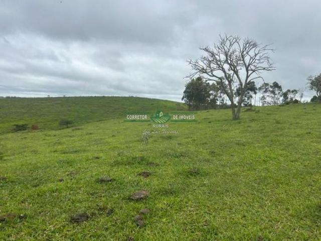 Rurais à venda em Serranos