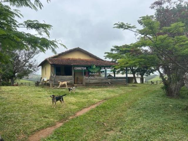 Rurais à venda em Serranos