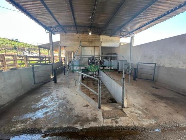 Rurais à venda em Soledade de Minas