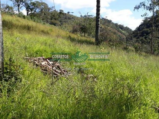 Rurais à venda na Zona Rural