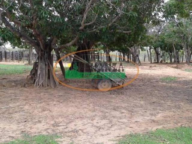 Rurais à venda na Zona Rural