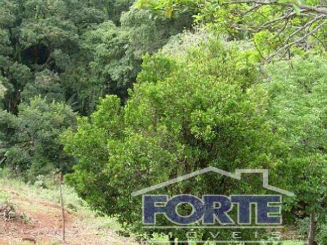 Rurais à venda na Zona Rural