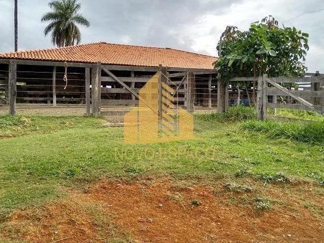 Rurais à venda na Zona Rural