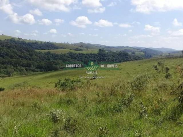 Rurais à venda na Zona Rural