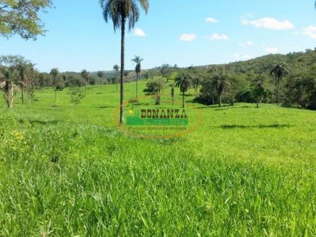 Rurais à venda na Zona Rural