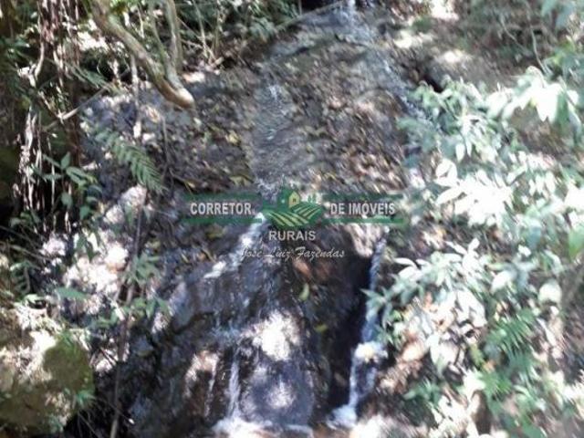 Rurais à venda na Zona Rural