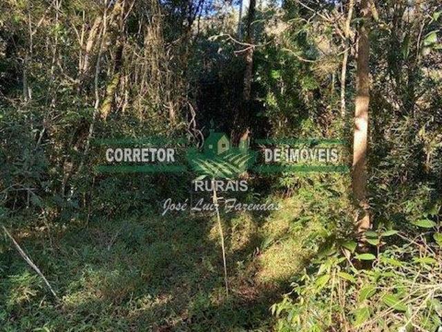 Rurais à venda Na Zona Rural
