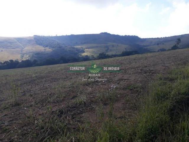 Rurais à venda na Zona Rural