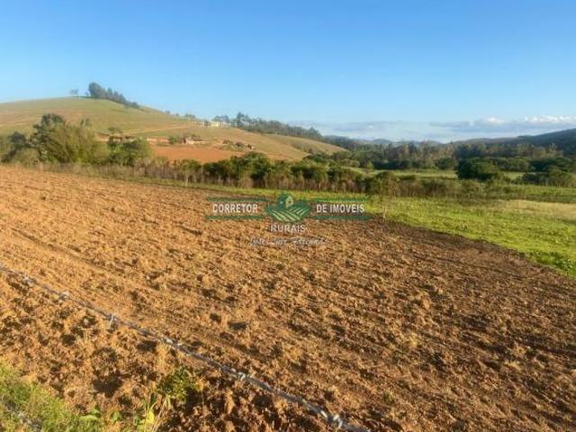 Rurais à venda na Zona Rural